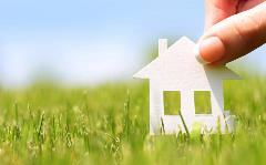Home Little Home Little